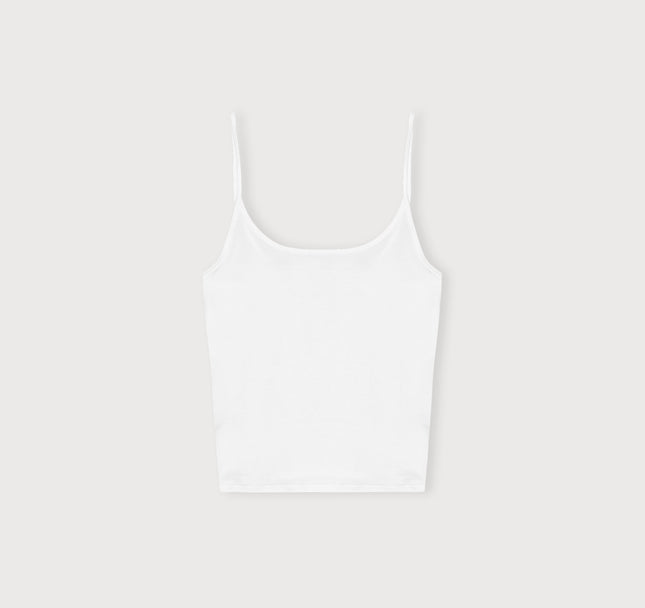 Core Singlet