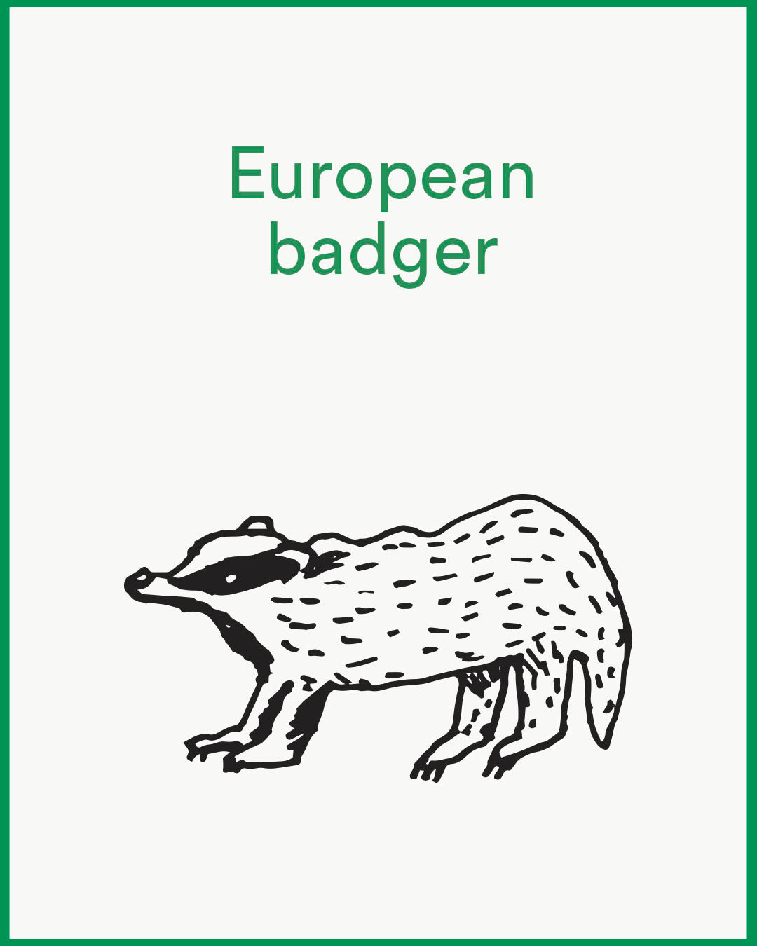 Mix and Match Organic Basics EU