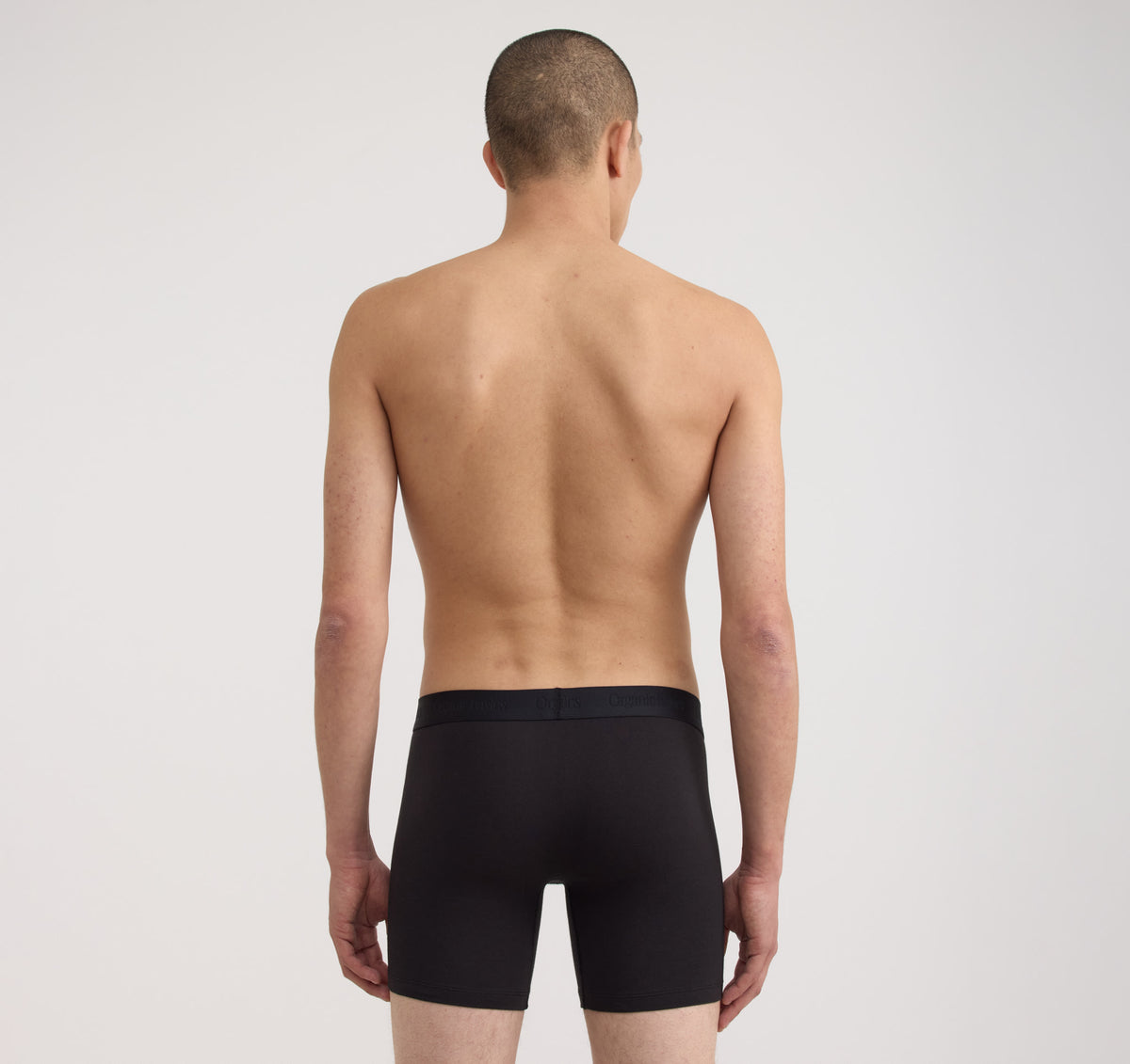 Core Boxer Briefs 12-Pack - Black / White / Grey Melange – organic cotton – view 3