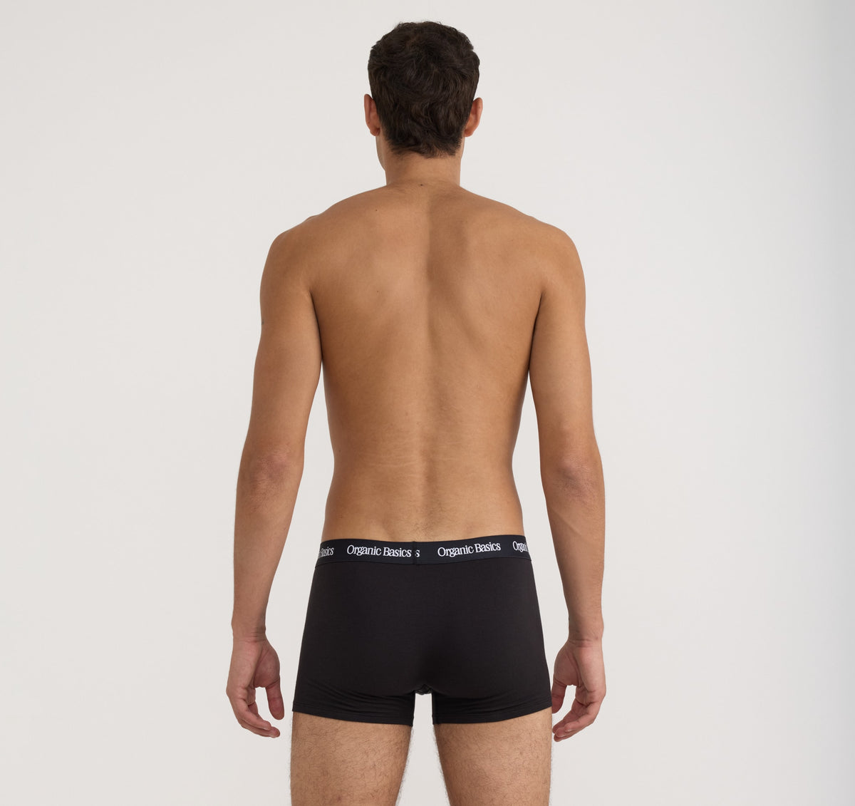 Core Trunks 12-Pack