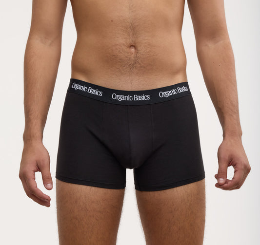 Core Trunks 12-Pack