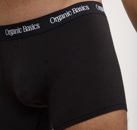 Core Trunks 12-Pack