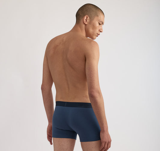 Core Trunks 12-Pack