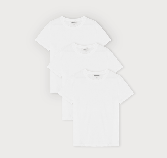 True Regular Fit Tee 3-Pack