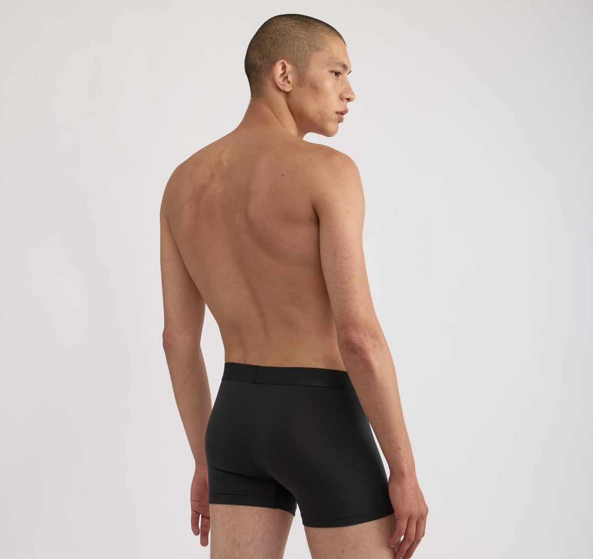 Premium Trunks 12-pack