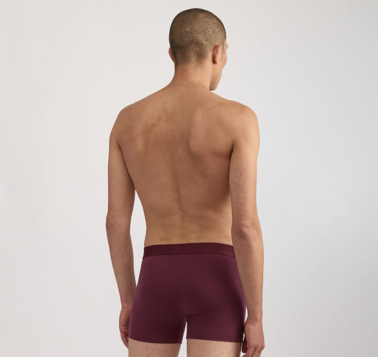 Premium Trunks 6-Pack
