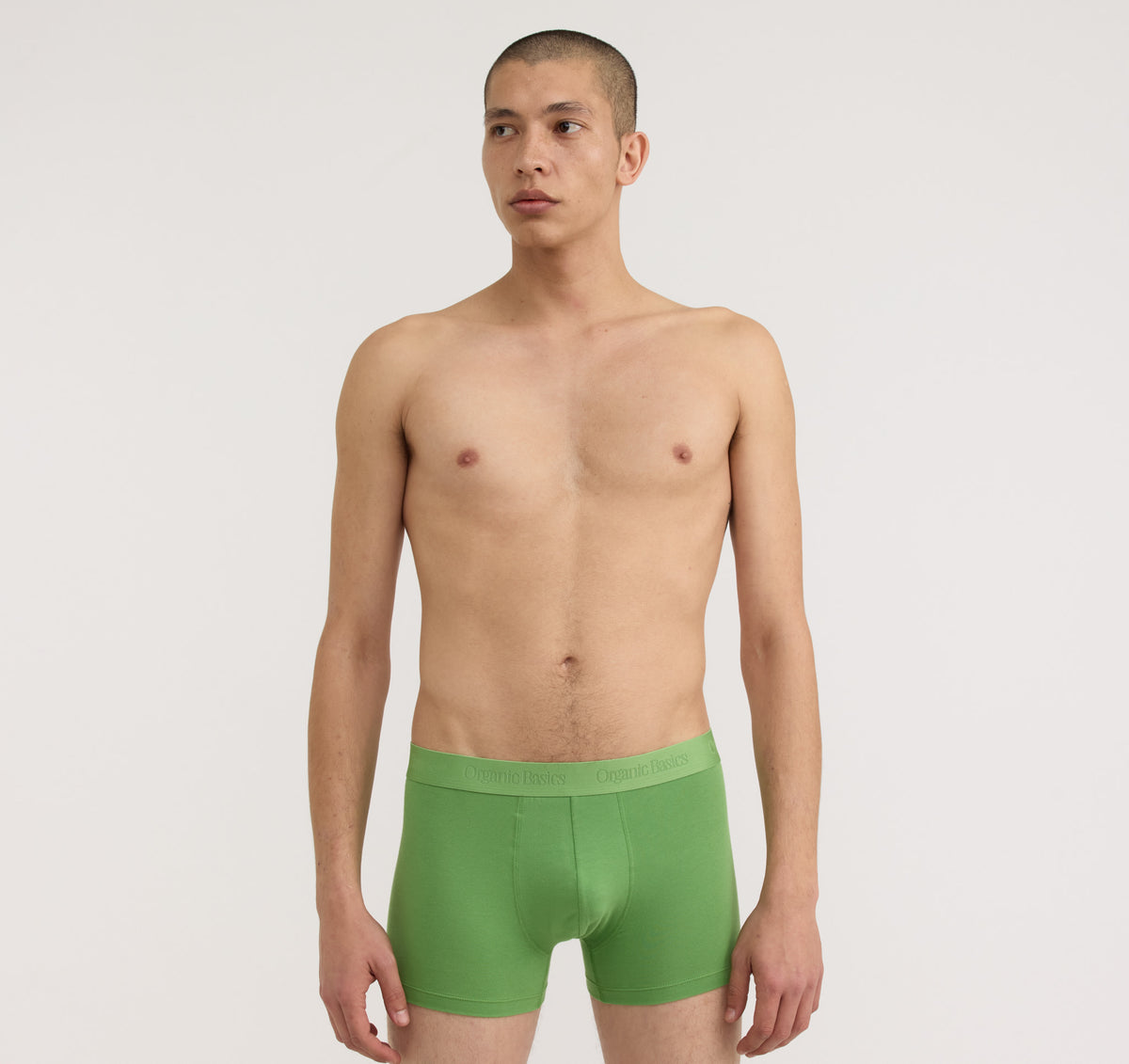 Core Trunks 12-Pack