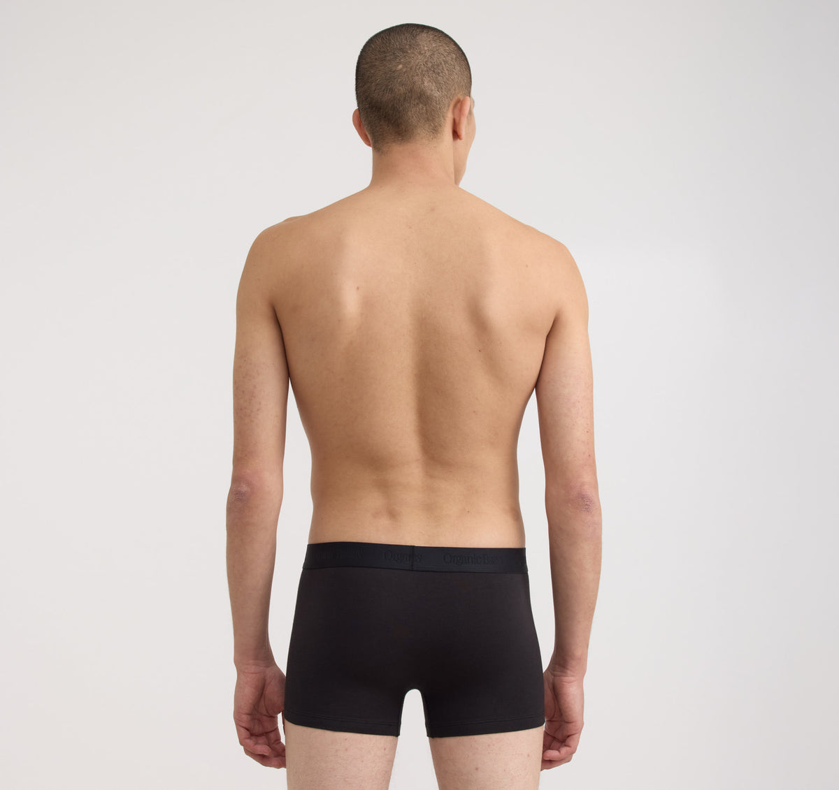 Core Trunks 12-Pack